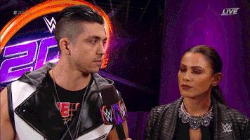 Pro Wrestling Wwe GIF