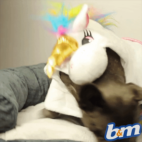 french bulldog dog GIF by B&M Stores