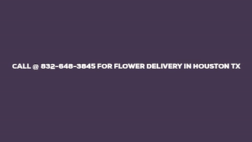Flower Delivery In Houston GIF