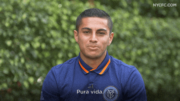 mls GIF by NYCFC