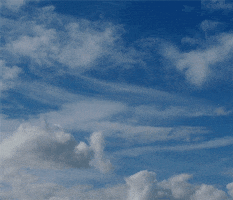 Blue Sky Face GIF by Clemens Reinecke