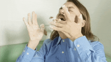 Thank God For Girls Lyric Video GIF by Weezer