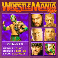 wrestlemania 32 wwe GIF by GIPHY Studios Originals