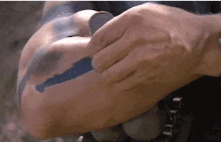 jasherman  GIF