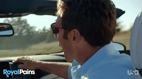 Running Into Glass Gifs Get The Best Gif On Giphy