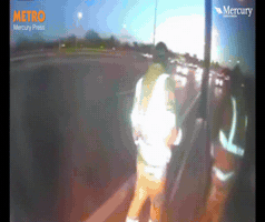 tonypuh  GIF