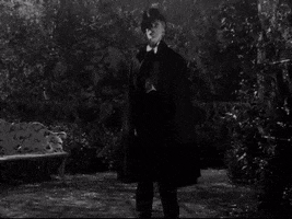 raineydawn bat dracula john carradine GIF