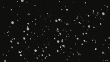 black & white snow GIF by Uwe Heine Debrodt