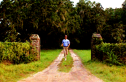 Fast-run GIFs - Get the best GIF on GIPHY