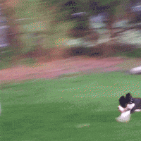 Free-funny GIFs - Get the best GIF on GIPHY Free-funny GIFs - Get the best GIF on GIPHY