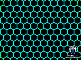 mindset  GIF