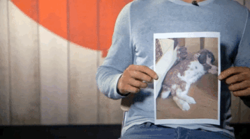 jan-paulbeukema  GIF