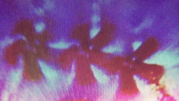 200.gif?cid=fc005b08003be0b885c80e8874c6bdc2931bdf511d063282&rid=200.gif&ct=g