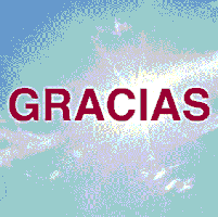 Gracias; Aeela; Irma; Huracan GIF by AEELA