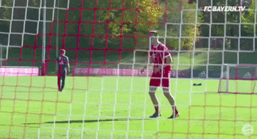 goal chip GIF by FC Bayern Munich