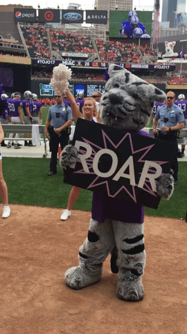 uofstthomasmn tommies university of st. thomas tommie mascot GIF