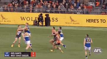 Aussie Rules Finals GIF by AFL
