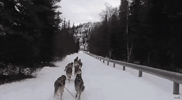 200.gif?cid=fc005b08912ade4f86902bb826d93476b4f2f122c69e2628&rid=200.gif&ct=g