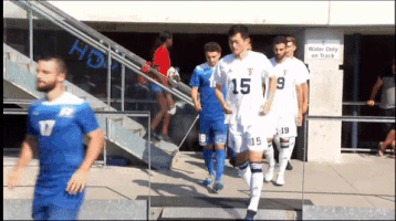 TFCII  GIF