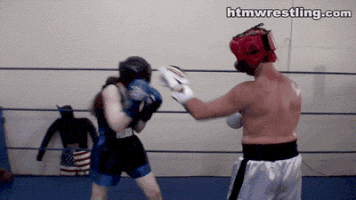boxing sparring GIF