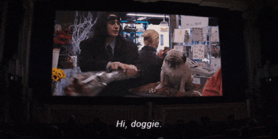the disaster artist hi doggie GIF by A24