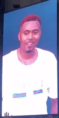 sadiefbaby concert fine nas the meadows GIF
