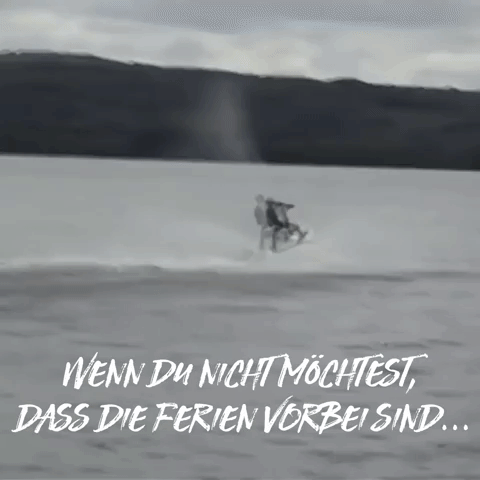 uniplaces_giphy  GIF