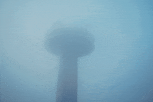 200.gif?cid=fc005b08cd47903a26d646c041efb9e2c641432570b014e8&rid=200.gif&ct=g