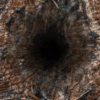 hole deep GIF by Feliks Tomasz Konczakowski
