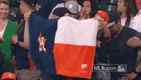 New trending GIF on Giphy  Astros, Houston astros, Astros baseball
