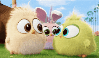 Easter Bunnies GIF by Angry Birds