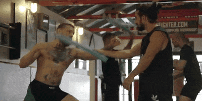 ufc 196 fighting GIF by Conor McGregor