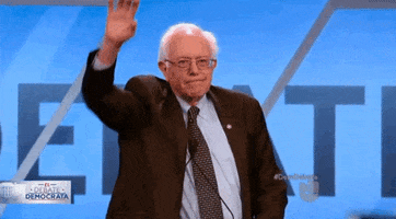 Bernie Sanders Hello GIF by Univision Noticias