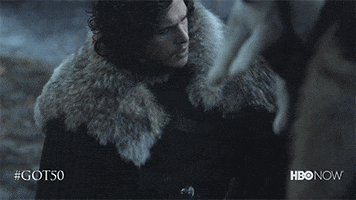 Jon Snow Dog GIF by Game of Thrones