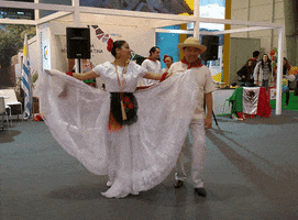 terranova  GIF