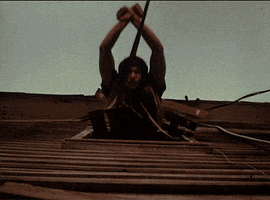 200.gif