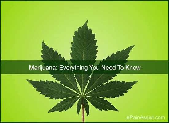 what is marijuana GIF by ePainAssist.com