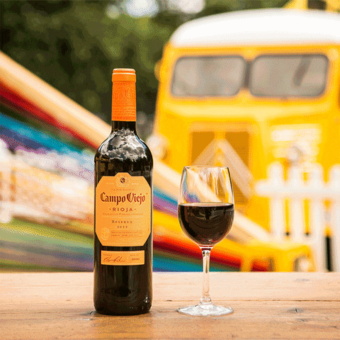 celebrate glass of wine GIF by Campo Viejo UK