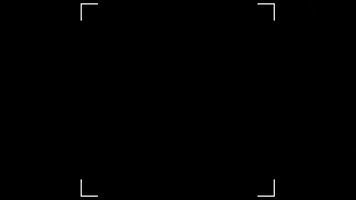 mattisdovier GIF