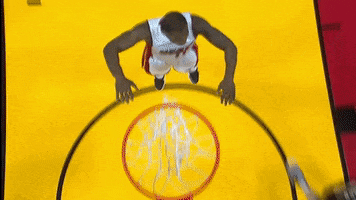 Miami Heat Basketball GIF by NBA