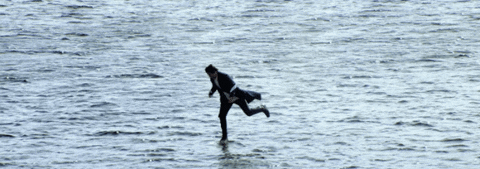 Harry Styles GIF by Vulture.com - Find & Share on GIPHY