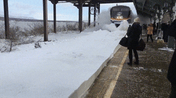 snow train GIF by JustViral.Net