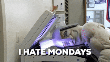 Spartans GIF by MBU Athletics