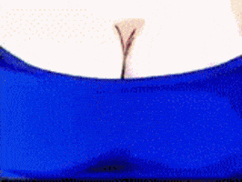 jbFromNYC dbz intro dragonball dragonballz GIF