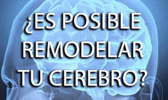 cynmilo psicologia ciencia neurociencias neuroplasticidad GIF