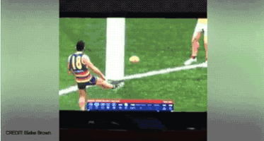 shannongrixti afl evolution GIF
