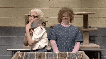 cat lady snl GIF by Saturday Night Live