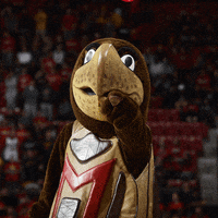 Ncaa Sports Deal With It GIF by Maryland Terrapins