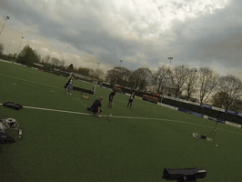 xsens  GIF
