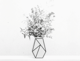 davidboon flowers graphic wood vase GIF